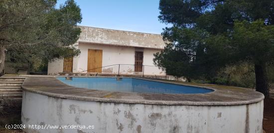 Finca rústica a 3 km de Amposta - TARRAGONA