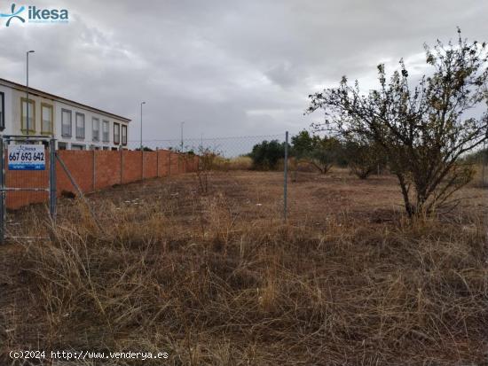 Venta de 3 Suelos Urbanos Residenciales en La Albuera (Badajoz) - BADAJOZ