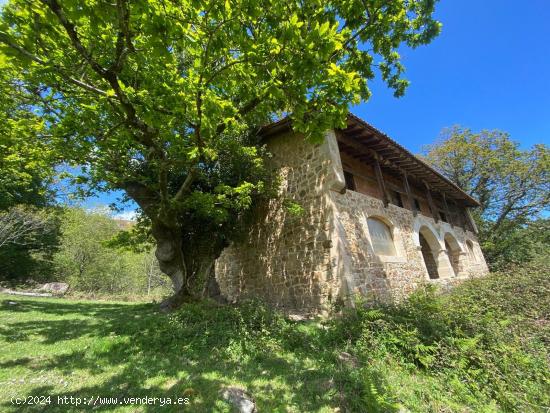 CASA DE PIEDRA EN PARQUE NATURAL RESERVA DEL SAJA - CANTABRIA