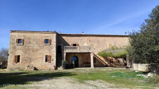 SE VENDE MANSION EXCLUSIVA EN EL CENTRO DE LA ISLA LLORETA - BALEARES