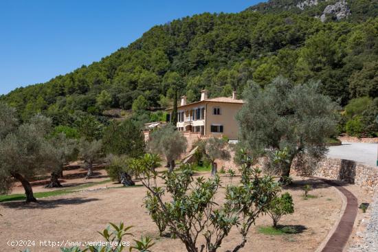 FINCA EN BUNYOLA CON CASAS DE INVITADOS Y PISCINA - BALEARES