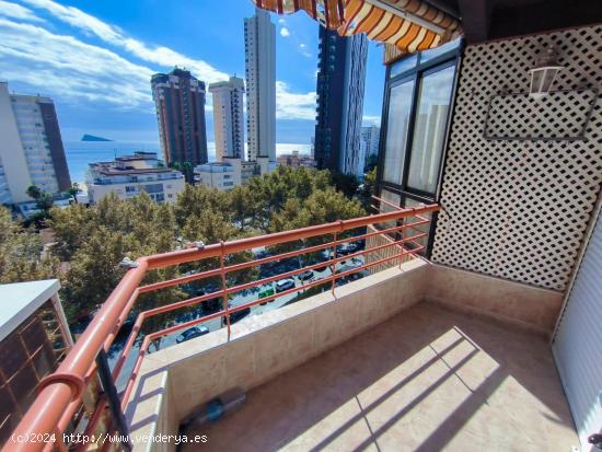  Apartamento en Benidorm 2º línea de playa (Zona de Levante) www.inmobiliarialesdunes.com - ALICANT 