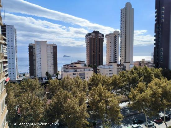 Apartamento en Benidorm 2º línea de playa (Zona de Levante) www.inmobiliarialesdunes.com - ALICANT