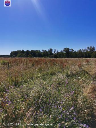 Venta Parcela rustica en Marcilla - NAVARRA