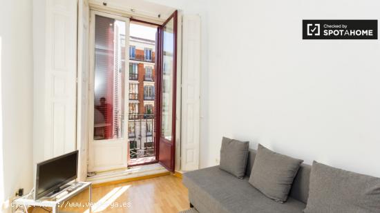 apartamento de 1 dormitorio con balcón en alquiler en La Latina - MADRID