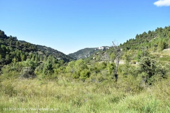 Se Vende en Peñarroya de Tastavins - TERUEL