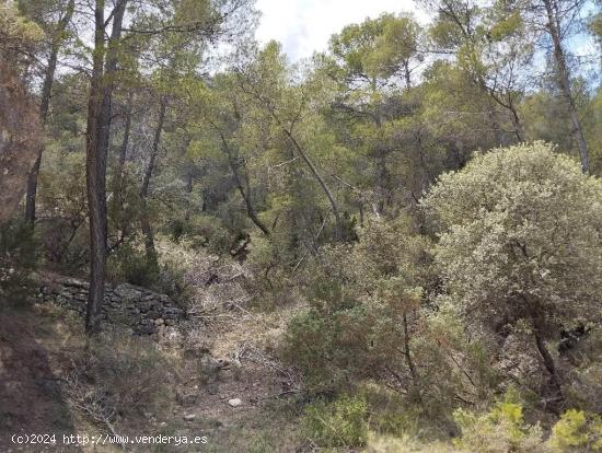 Finca en la montaña con agua - TERUEL