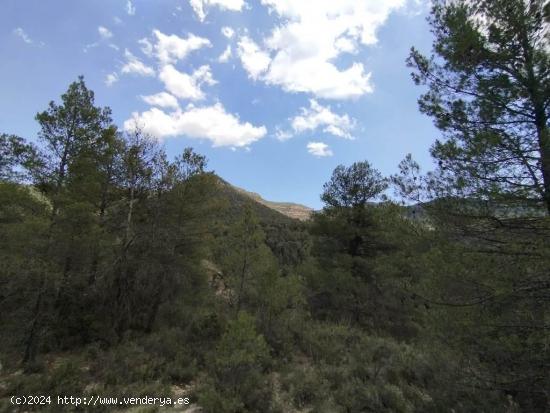 Finca en la montaña con agua - TERUEL