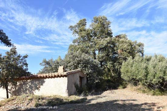  Finca rústica con maset a rehabilitar - TARRAGONA 