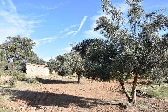 Finca rústica con maset a rehabilitar - TARRAGONA