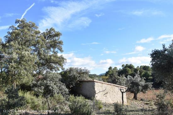 Finca rústica con maset a rehabilitar - TARRAGONA