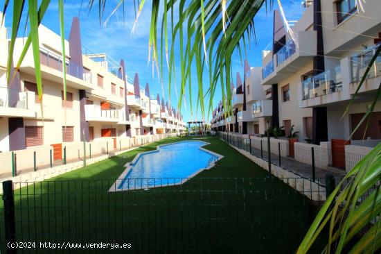 Apartamento de 2 dormitorios y 1 baño,  a 300 metros del mar. Zona Mil Palmeras. - ALICANTE