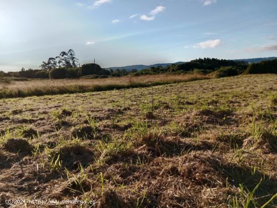 TERRENO EDIFICABLE EN FRANZA-MUGARDOS - A CORUÑA