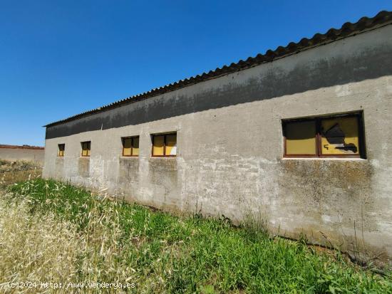  TERRENO URBANO, CON DOS NAVES INDUSTRIALES, EN ALDEA REAL (SEGOVIA) - SEGOVIA 