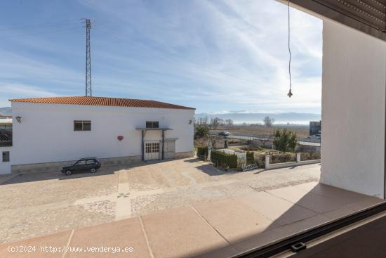 ¡¡ESTUPENDA FINCA RUSTICA PARA EXPLOTACION INDUSTRIAL CON GRAN CASA!! - GRANADA