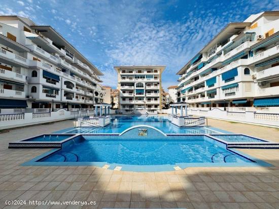 Fantástico apartamento a 300m de las playas de La Mata, junto a Torrevieja, Alicante - ALICANTE