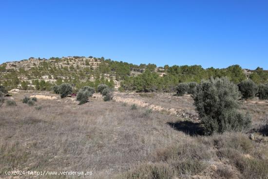 Se vende Terreno próximo a la Carretera de Castelserás - Alcañiz (Teruel) - Ref. TR02042023 - TER