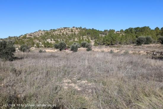 Se vende Terreno próximo a la Carretera de Castelserás - Alcañiz (Teruel) - Ref. TR02042023 - TER