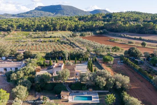 Finca de ensueño en Algaida – Elegancia moderna en armonía con la naturaleza mallorquina - BALEA