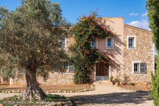 Finca de ensueño en Algaida – Elegancia moderna en armonía con la naturaleza mallorquina - BALEA