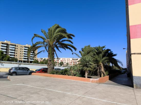 CÉNTRICO PISO EN LA URB. EL PILAR - LAS PALMAS