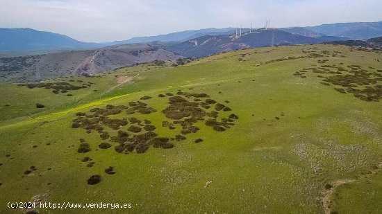 Solar urbano en Venta en Tarifa Cádiz