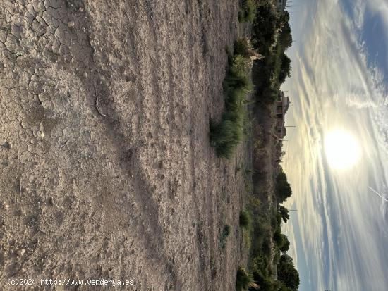 Terreno de Valverde - ALICANTE