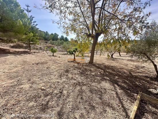 VENTA CASA EN LA MONTAÑA CERCA DEL FASTUOSO CAMPO DE GOLF ALENDA, RODEADO DE PAISAJES ESPECTACULARE