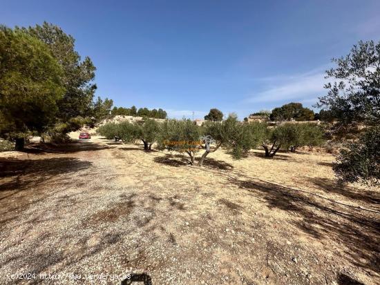 VENTA CASA EN LA MONTAÑA CERCA DEL FASTUOSO CAMPO DE GOLF ALENDA, RODEADO DE PAISAJES ESPECTACULARE