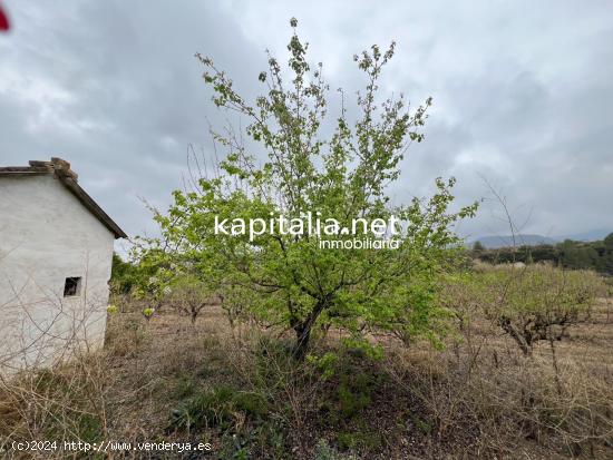 Parcela a la venta en Albaida - VALENCIA