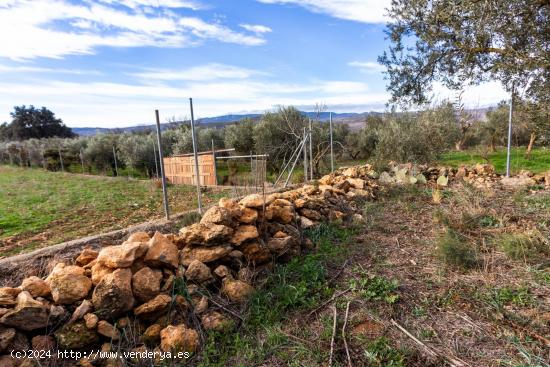  Finca Rústica Marchena Durcal - GRANADA 