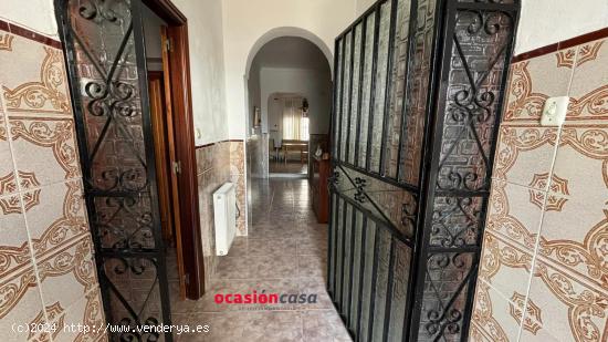  CASA CON TEJADO NUEVO EN BELMEZ - CORDOBA 