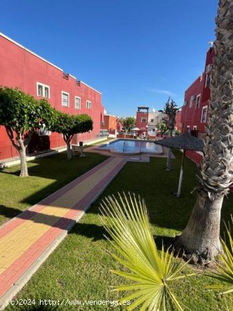  Estupendo apartamento en planta baja con jardin y piscina comunitaria - ALICANTE 