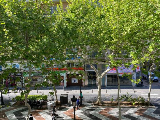 Oficina con gran visibilidad en el corazón de la ciudad - VALENCIA