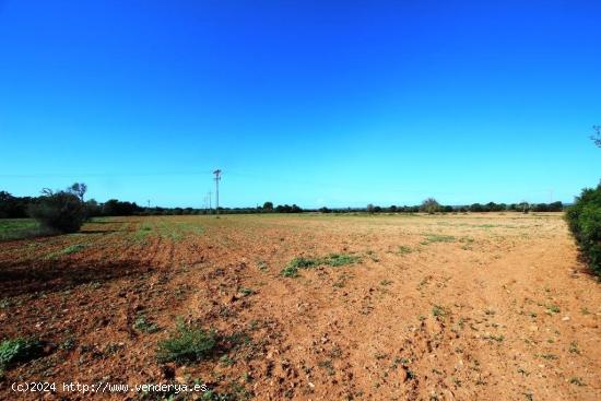 Terreno cerca de Campos en una zona muy tranquila - BALEARES