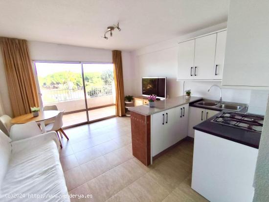 APARTAMENTO EN PINOMAR! REFORMADO! CON VISTAS ESPECTACULARES! 2 DORMITORIOS. - ALICANTE