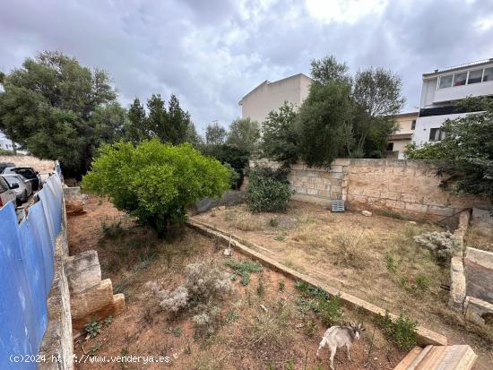 SOLAR EN MURO - BALEARES