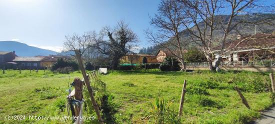 TERRENO URBANO EN SOMAHOZ-LOS CORRALES DE BUELNA.- - CANTABRIA