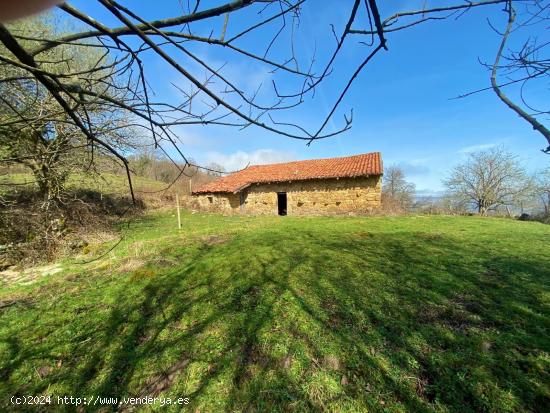 CABAÑA EN PARQUE NACIONAL RESERVA DEL SAJA - CANTABRIA