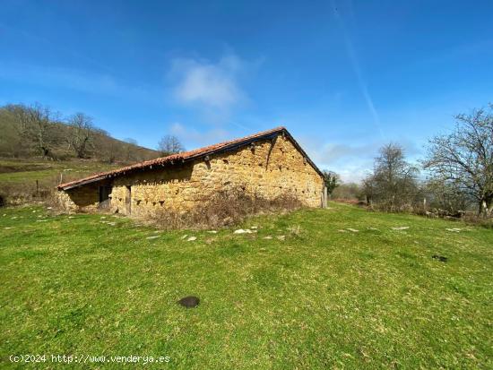 CABAÑA EN PARQUE NACIONAL RESERVA DEL SAJA - CANTABRIA