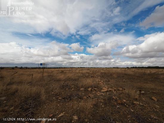  Se vende parcela rustica de secano de 2 hectareas - CIUDAD REAL 