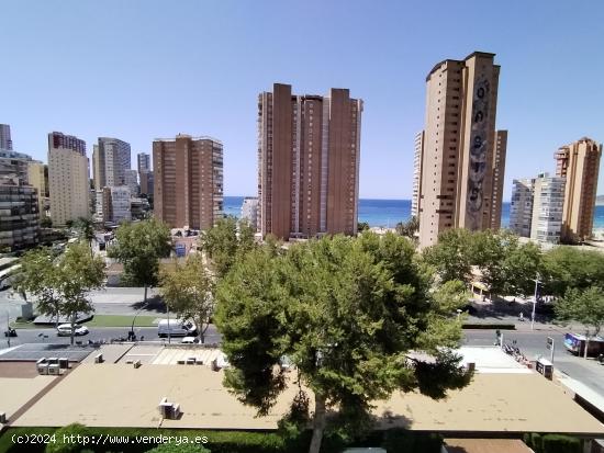 Precioso estudio situado en la Avenida Mediterraneo. Reformado. con parkin y piscina. - ALICANTE