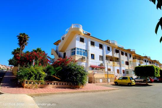  BONITO APARTAMENTO EN PLAYA FLAMENCA - ALICANTE 