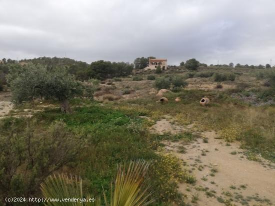  Casa de Campo con terreno en La Tova - MURCIA 