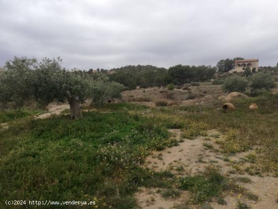 Casa de Campo con terreno en La Tova - MURCIA