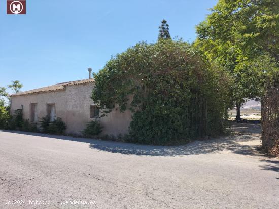 FINCA  RUSTICA CON UNA VIVIENDA - ALICANTE