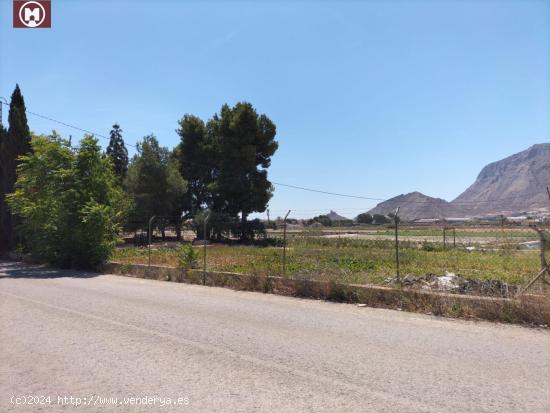 FINCA  RUSTICA CON UNA VIVIENDA - ALICANTE