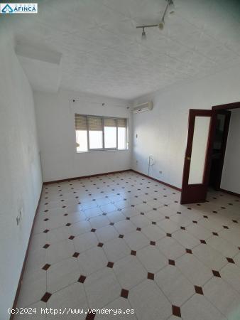 Céntrico piso de cuatro habitaciones - HUELVA