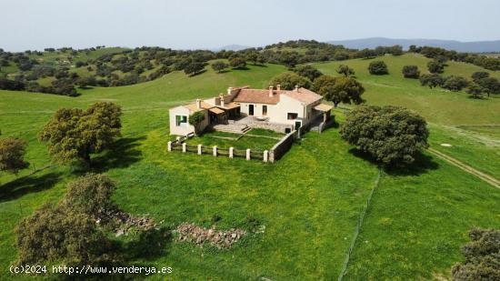  FINCA SANTA ELENA - JAEN 