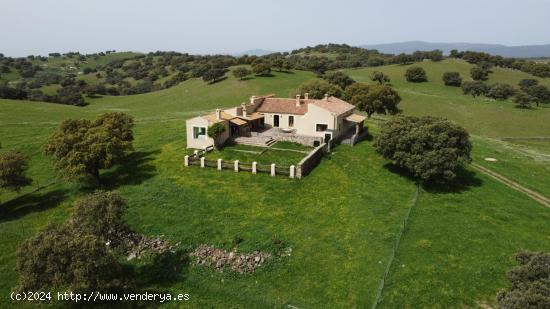 FINCA SANTA ELENA - JAEN